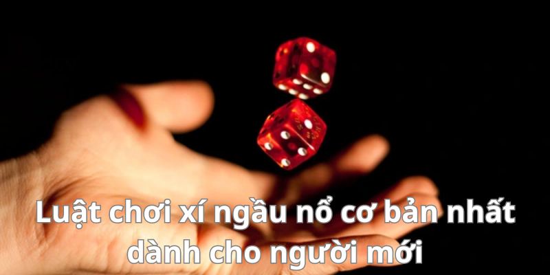 Mẹo đánh rồng hổ - Hướng dẫn từ A đến Z để thành công 10 image 141